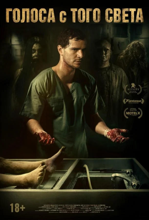 Голоса с того света / Мёртвые не разговаривают Фильм2018смотреть онлайн бесплатно